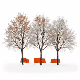 a row of orange chairs sitting under three trees