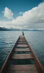 a wooden bridge with a person looking out into the distance