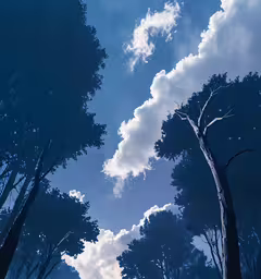 trees with clouds and sun beams shining through them,a blue photo of trees in a field and clouds