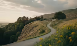 the view down a narrow road with trees on it