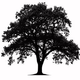 the silhouette of a large, tree against a white background