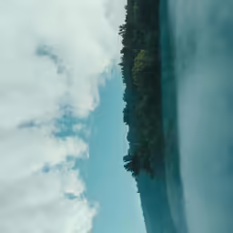 a view from above of a large body of water and a forest