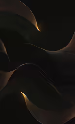 the dark design is on the wall