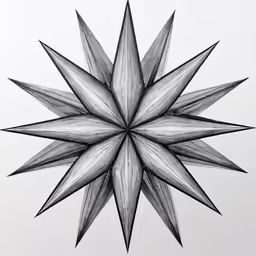 black and white photograph of an intricate pointed flower