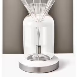 the lamp is white and contains large clear reeds
