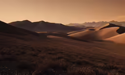 a desert area covered in scrub brush with mountains in the background