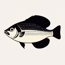 a black and white fish on a white background