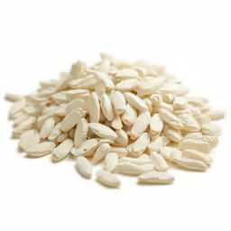 pile of white seeds on a white surface