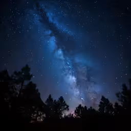the night sky above some trees