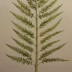 a plant in front of a beige wall and grey floor