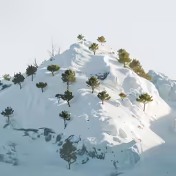 the tops of pine trees growing in a snow covered hillside