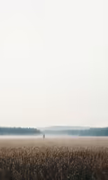 a lone man walking through a foggy field