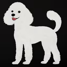 the white poodle looks like he is standing in front of a black background