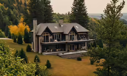 an aerial view of a house surrounded by pine trees
