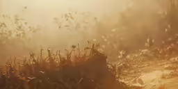 the grass is covered with dirt on the side of the road