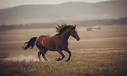 a horse running in a field with mountains in the background