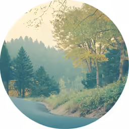 this is a circle photo with a bear on the road