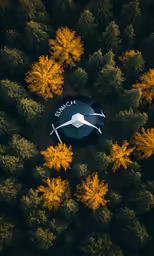 an umbrella floating in the air above some yellow trees