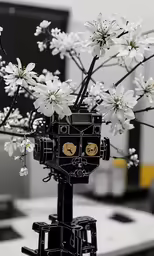 the stem has two heads with eyes and has many flowers