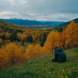 a person sitting on the ground in front of a forest