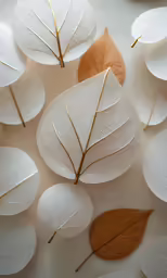 several white leaves with brown tips on them