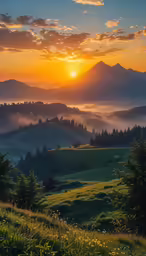 the sun is rising over a hill in the fog