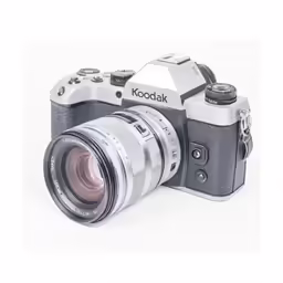 the camera has an electronic view function and is shown
