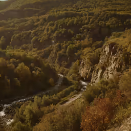 the trees and the water near the mountains