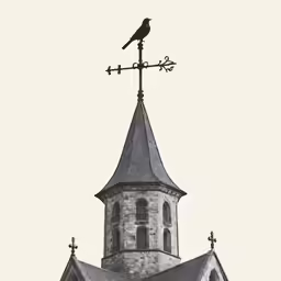 a bird sits on top of a church tower