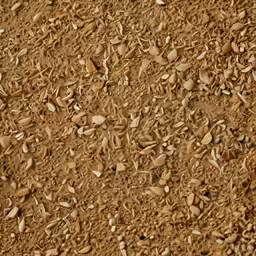 an array of seeds is shown in this image