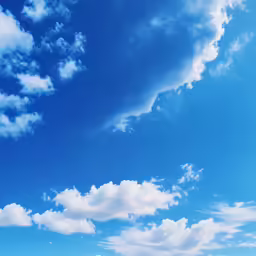the view from the ground of blue skies and white clouds