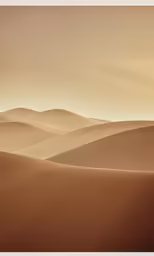 the sand dunes have some very large trees