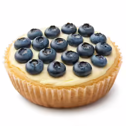 a cake with blueberries is shown on a plate
