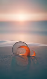 a curved glass object sitting on the beach