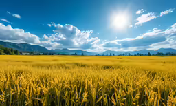 a sunbeam that is in a field with mountains behind it