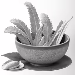 a bowl that has leaves inside of it