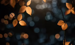 some branches that have yellow leaves on them