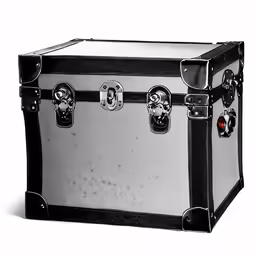 this is a picture of a black trunk