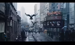 an eagle flying low to the ground in a city street