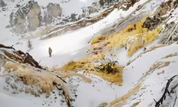 the snow covered mountain has been partially shoveled