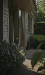 a picture of some plants outside of the house