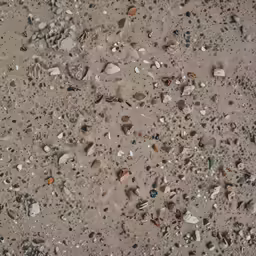 a close up shot of pebbles on a sand surface