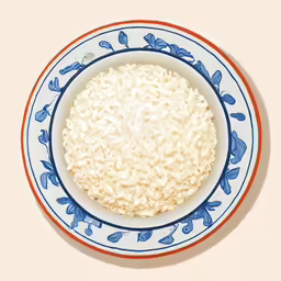 there is a bowl of rice and a spoon in it