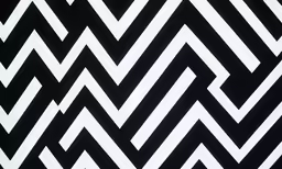 an image of abstract pattern in black and white