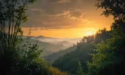 the sun shining through the trees to over mountains