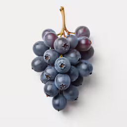 a bunch of grapes that are on a white background