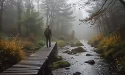 a man walking across a bridge over a stream in the woods