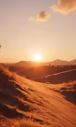 an open field with a bright sun and a dirt path