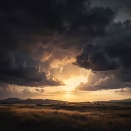 a field with a cow in the distance under a sunset