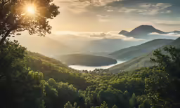 sun rays rise in the trees below some mountains